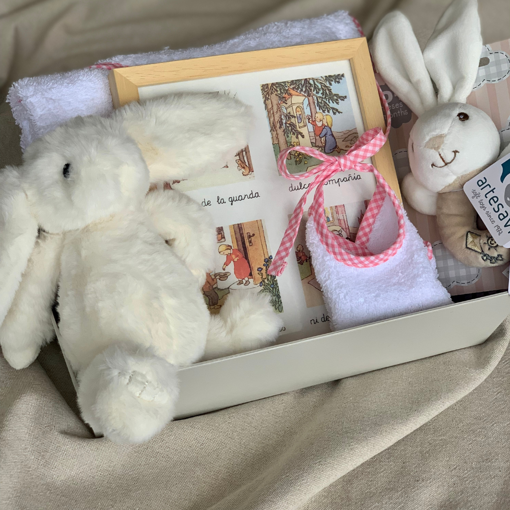 Cesta Recién Nacido Rosa Cuadro Oración