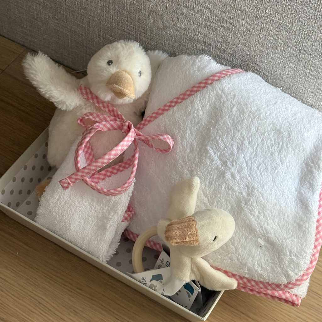 Cesta Recién Nacido Rosa