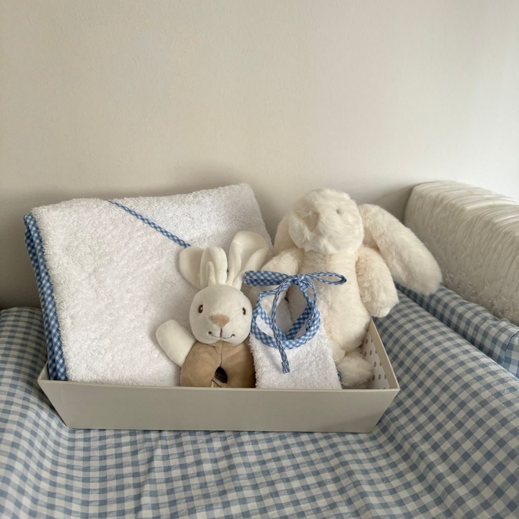 Blue Newborn Basket