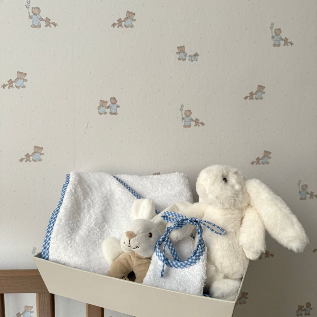 Blue Newborn Basket