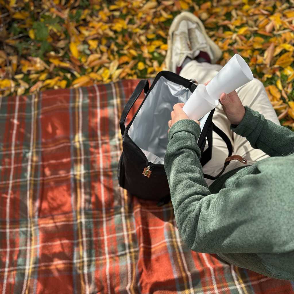 Gray Picnic Backpack